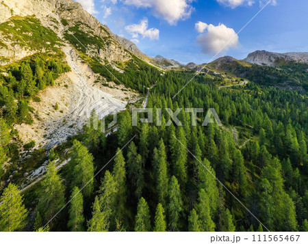 Majestic View of Mountains and Green Forest From a High Point. Majestic View of Mountains and Green Forest From a High Point. 111565467