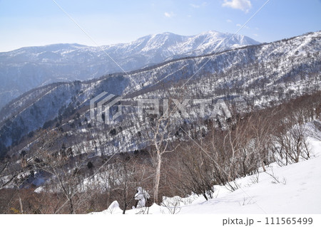 甲子山 甲子山 111565499