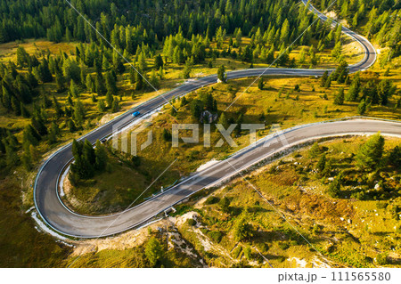 Car drives on curvy asphalt road winding along large forest with evergreen coniferous trees. Serpentine freeway across forestry mountains aerial view 111565580