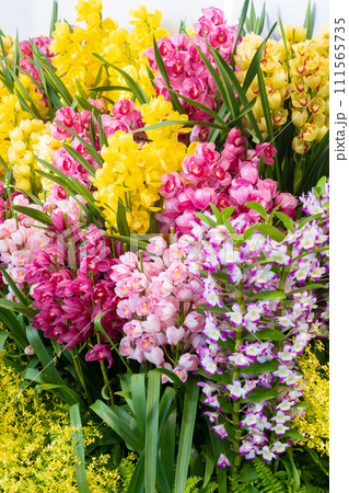 たくさんの洋蘭の花　フラワーアレンジメント　 111565735