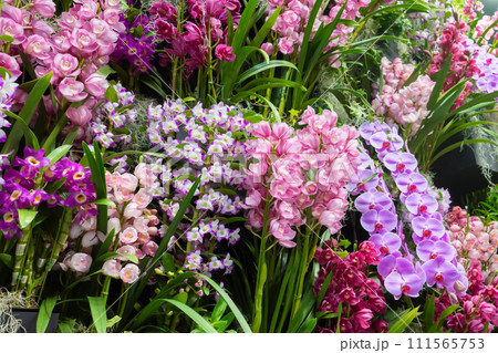 たくさんの洋蘭の花　フラワーアレンジメント　 111565753