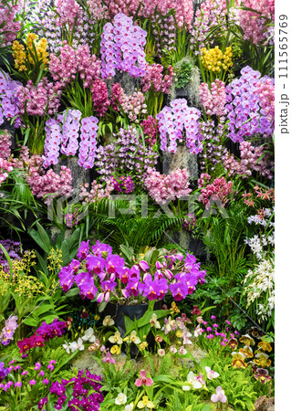 たくさんの洋蘭の花　フラワーアレンジメント　 111565769