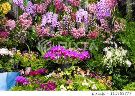 たくさんの洋蘭の花　フラワーアレンジメント　 111565777