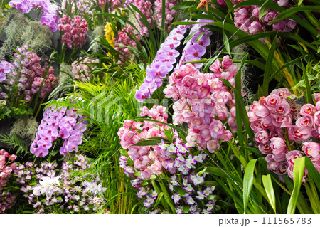 たくさんの洋蘭の花　フラワーアレンジメント　 111565783