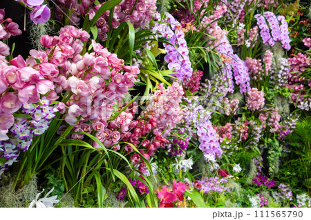 たくさんの洋蘭の花　フラワーアレンジメント　 111565790