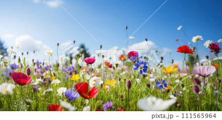 AI-generated content. Blossoming Beauty: A Colorful Meadow of Wildflowers Under the Blue Sky AI-generated content. Blossoming Beauty: A Colorful Meadow of Wildflowers Under the Blue Sky 111565964