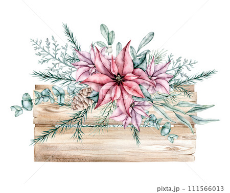 Watercolor Christmas bouquets in wooden box with poinsettia, spruce, pine cone and eucalyptus. Hand painted Isolated holiday illustration for design, invitations, cards 111566013