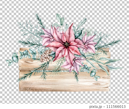Watercolor Christmas bouquets in wooden box with poinsettia, spruce, pine cone and eucalyptus. Hand painted Isolated holiday illustration for design, invitations, cards 111566013