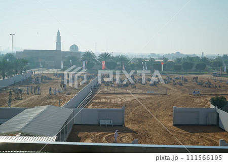 ラクダレース_ドバイ 111566195