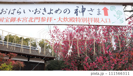 下鴨神社 賀茂御祖神社 京都 下鴨神社 賀茂御祖神社 京都 111566311