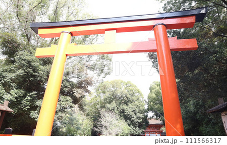下鴨神社 賀茂御祖神社 京都 下鴨神社 賀茂御祖神社 京都 111566317