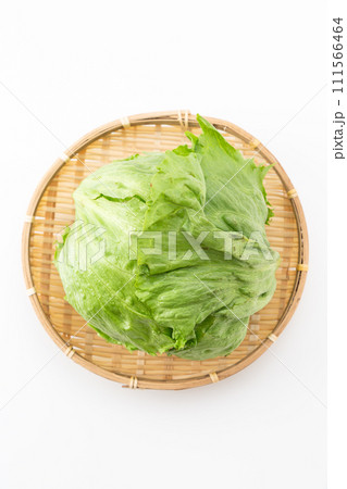 白バックのレタス 111566464