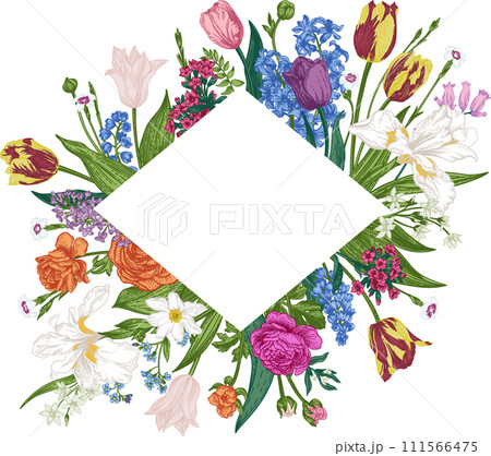 Rhombus frame with garden flowers. Botanical illustration. Iris, hyacinth, tulip, forget-me-not, cloves, anemone. Colorful. Hand drawing. Rhombus frame with garden flowers. Botanical illustration. Iris, hyacinth, tulip, forget-me-not, cloves, anemone. Colorful. Hand drawing. 111566475