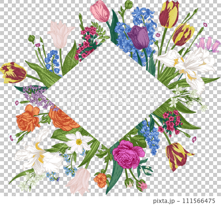 Rhombus frame with garden flowers. Botanical illustration. Iris, hyacinth, tulip, forget-me-not, cloves, anemone. Colorful. Hand drawing. Rhombus frame with garden flowers. Botanical illustration. Iris, hyacinth, tulip, forget-me-not, cloves, anemone. Colorful. Hand drawing. 111566475
