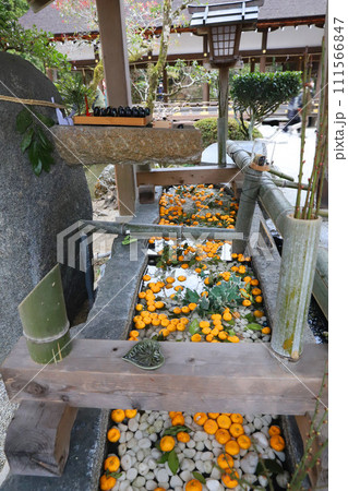 上賀茂神社 賀茂別雷神社 京都 上賀茂神社 賀茂別雷神社 京都 111566847