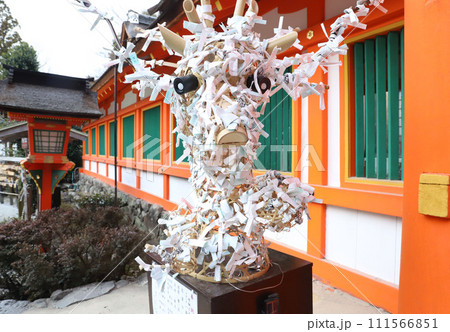 上賀茂神社　賀茂別雷神社　京都 111566851