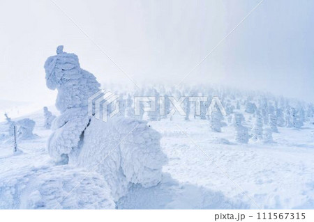 山形蔵王の樹氷　山形県山形市 111567315