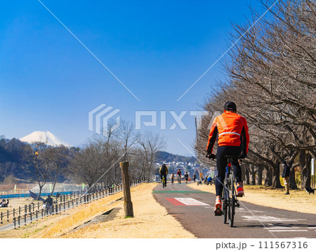 富士山を望む多摩川サイクリングロード（府中市付近） 111567316