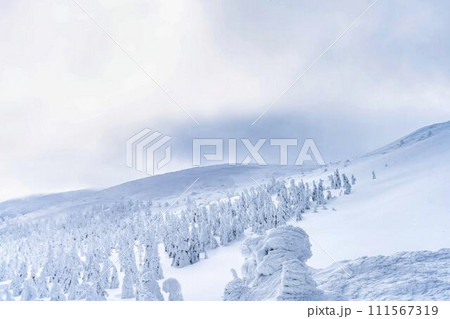 山形蔵王の樹氷　山形県山形市 111567319