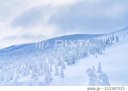 山形蔵王の樹氷　山形県山形市 111567321