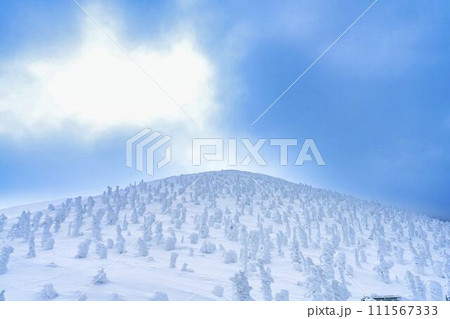 山形蔵王の樹氷　山形県山形市 111567333