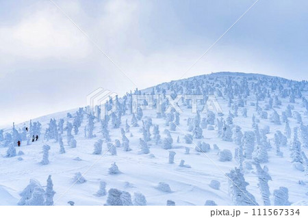 山形蔵王の樹氷 山形県山形市 山形蔵王の樹氷 山形県山形市 111567334