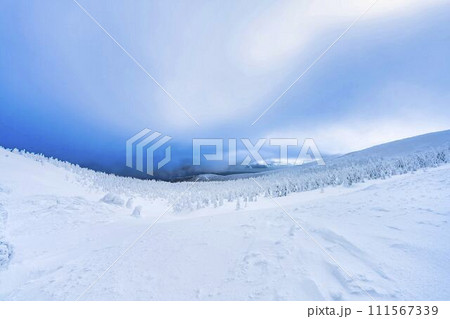 山形蔵王の樹氷　山形県山形市 111567339