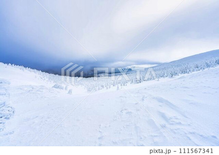 山形蔵王の樹氷 山形県山形市 山形蔵王の樹氷 山形県山形市 111567341