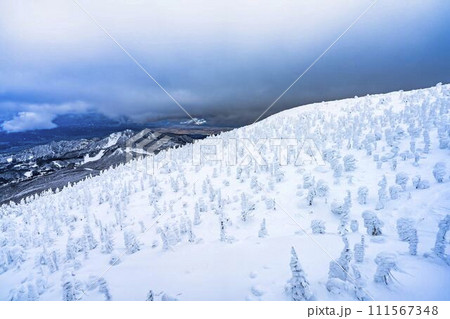 山形蔵王の樹氷 山形県山形市 山形蔵王の樹氷 山形県山形市 111567348