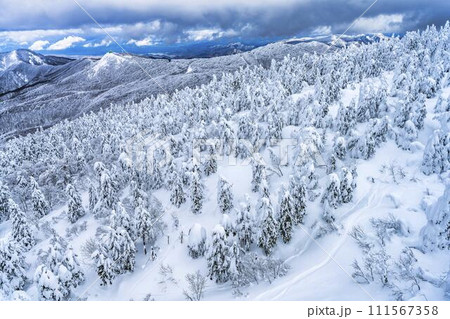 山形蔵王の樹氷 山形県山形市 山形蔵王の樹氷 山形県山形市 111567358