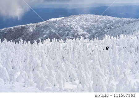 山形蔵王の樹氷 山形県山形市 山形蔵王の樹氷 山形県山形市 111567363
