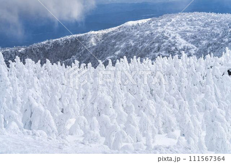 山形蔵王の樹氷 山形県山形市 山形蔵王の樹氷 山形県山形市 111567364