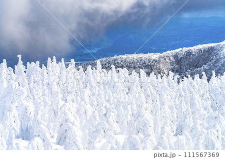 山形蔵王の樹氷 山形県山形市 山形蔵王の樹氷 山形県山形市 111567369