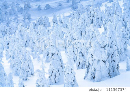 山形蔵王の樹氷　山形県山形市 111567374