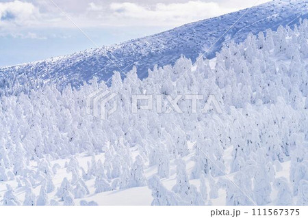 山形蔵王の樹氷　山形県山形市 111567375