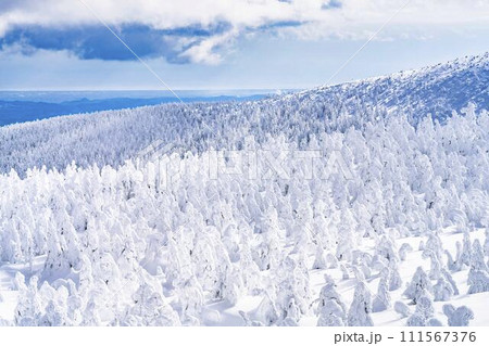 山形蔵王の樹氷　山形県山形市 111567376