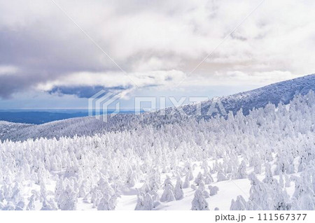山形蔵王の樹氷　山形県山形市 111567377