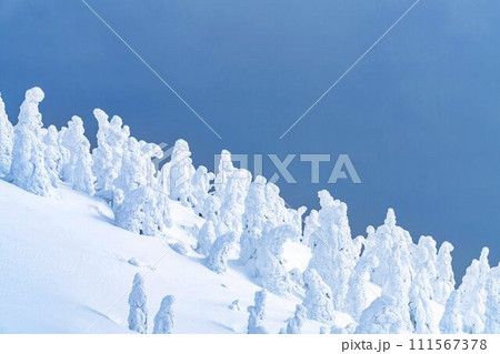 山形蔵王の樹氷　山形県山形市 111567378