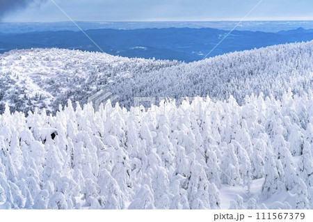 山形蔵王の樹氷　山形県山形市 111567379