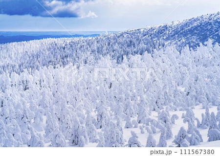 山形蔵王の樹氷　山形県山形市 111567380