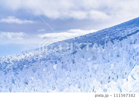 山形蔵王の樹氷 山形県山形市 山形蔵王の樹氷 山形県山形市 111567382