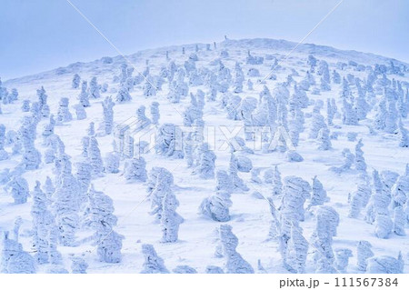 山形蔵王の樹氷　山形県山形市 111567384