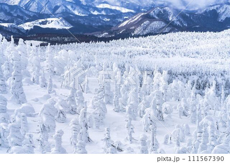山形蔵王の樹氷　山形県山形市 111567390