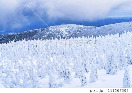 山形蔵王の樹氷　山形県山形市 111567395