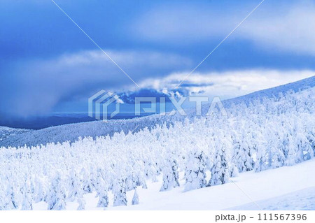 山形蔵王の樹氷　山形県山形市 111567396