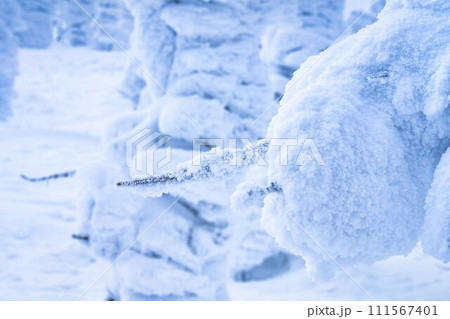 山形蔵王の樹氷　山形県山形市 111567401