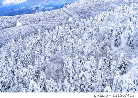 山形蔵王の樹氷　山形県山形市 111567415