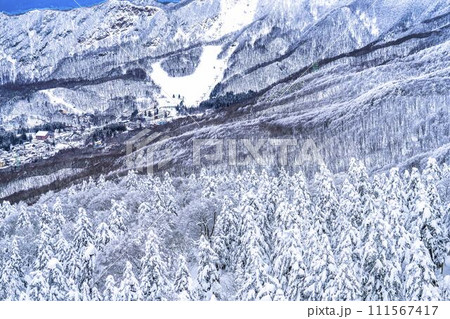 山形蔵王の樹氷 山形県山形市 山形蔵王の樹氷 山形県山形市 111567417
