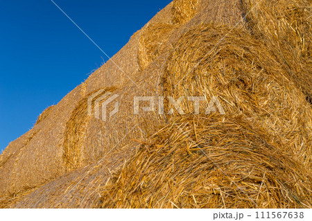 Piled hay bales on a field against blue sky Piled hay bales on a field against blue sky 111567638