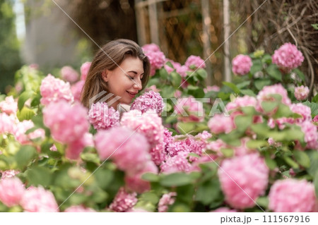 Hydrangeas Happy woman in pink dress amid hydrangeas. Large pink hydrangea caps surround woman. Sunny outdoor setting. Showcasing happy woman amid hydrangea bloom. 111567916